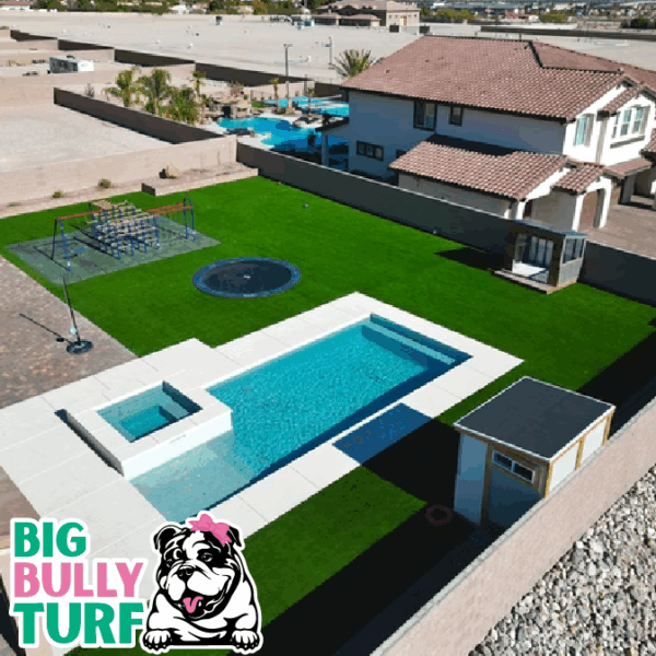 Backyard with synthetic grass Backyard with synthetic grass