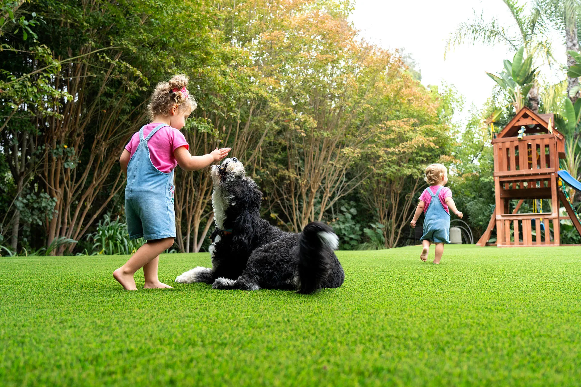 pet and child friendly artificial grass
